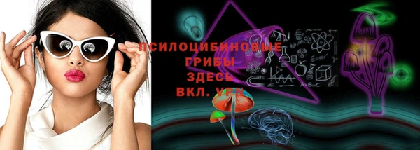 СК Ладушкин