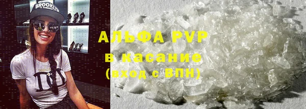 сатива Абаза