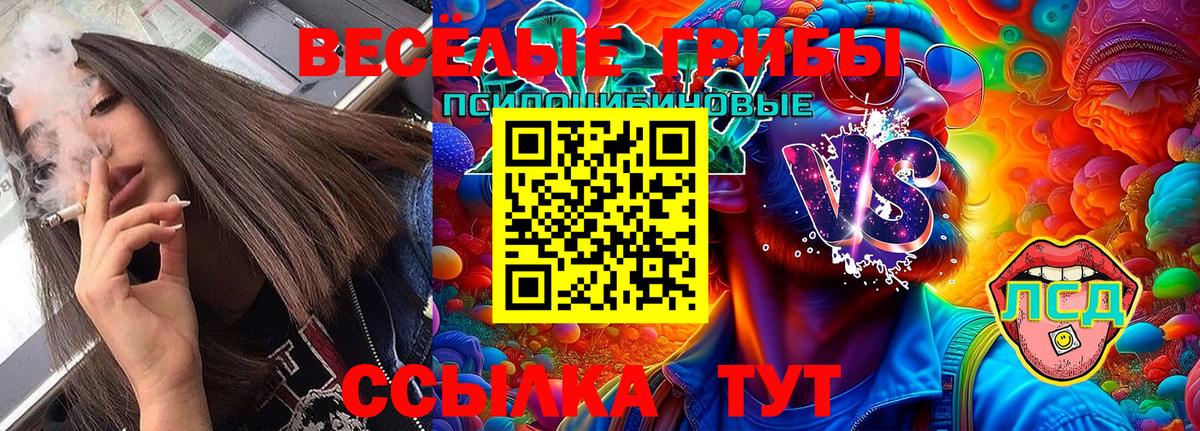 Галлюциногенные грибы GOLDEN TEACHER  Вход с VPN  Хасавюрт 